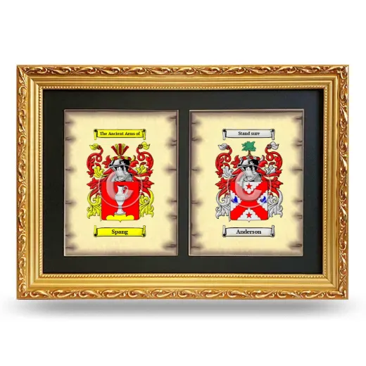 Double Coat of Arms Framed - Gold