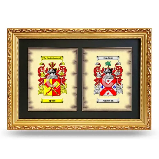 Double Coat of Arms Framed - Gold