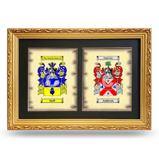 Double Coat of Arms Framed - Gold