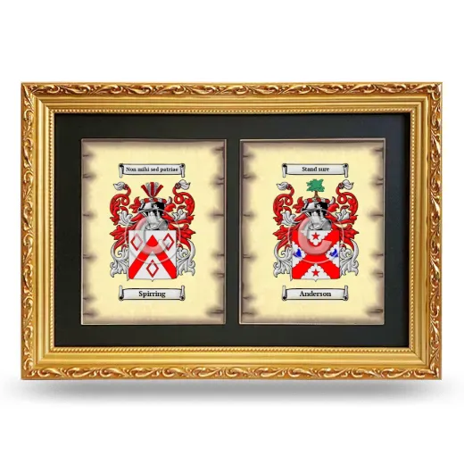 Double Coat of Arms Framed - Gold