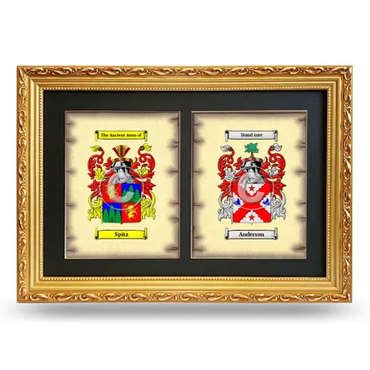 Double Coat of Arms Framed - Gold