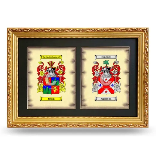 Double Coat of Arms Framed - Gold