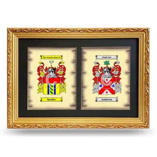 Double Coat of Arms Framed - Gold