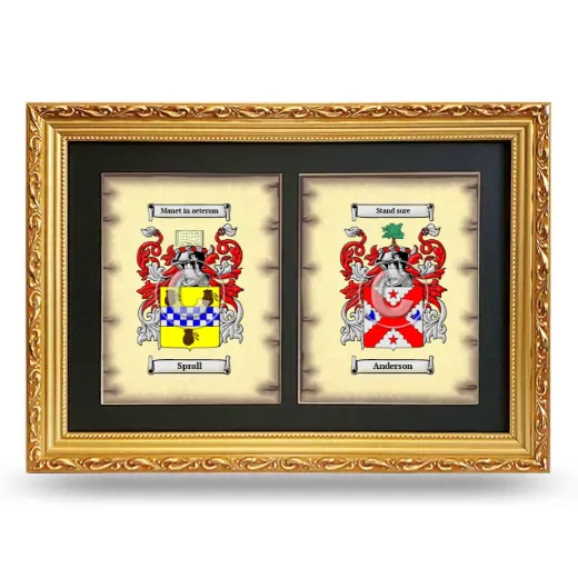 Double Coat of Arms Framed - Gold