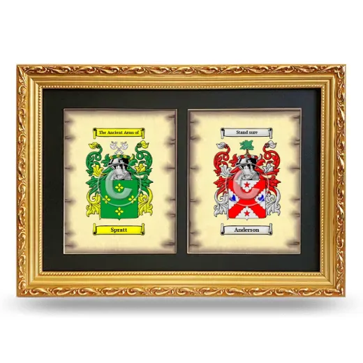 Double Coat of Arms Framed - Gold