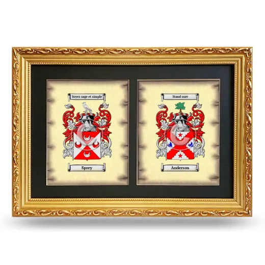 Double Coat of Arms Framed - Gold