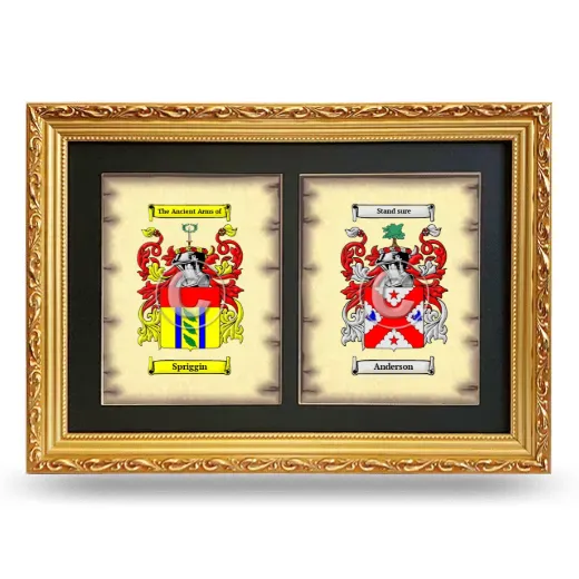 Double Coat of Arms Framed - Gold