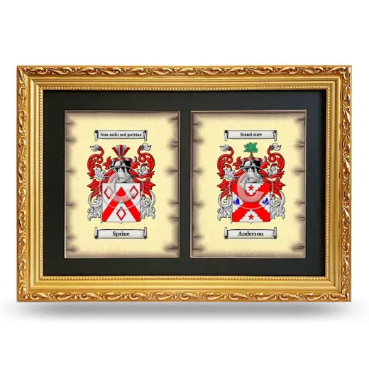 Double Coat of Arms Framed - Gold