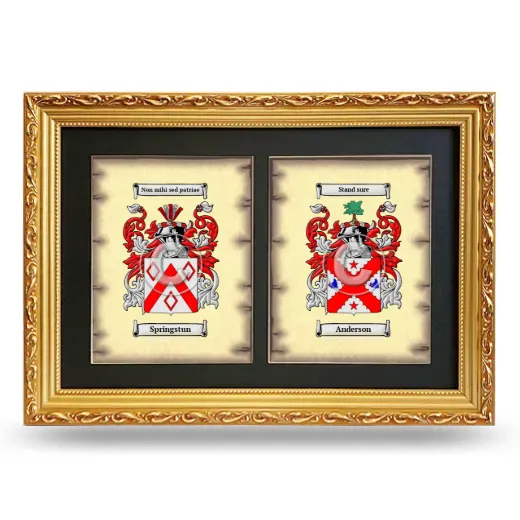 Double Coat of Arms Framed - Gold