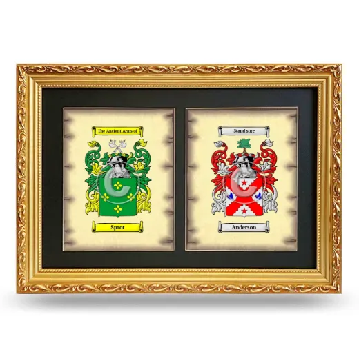 Double Coat of Arms Framed - Gold