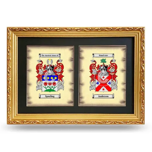 Double Coat of Arms Framed - Gold