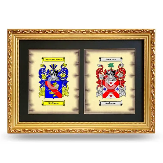 Double Coat of Arms Framed - Gold