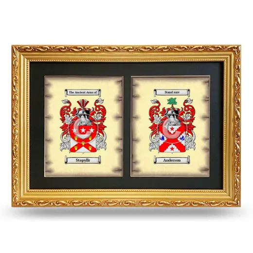Double Coat of Arms Framed - Gold