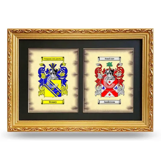 Double Coat of Arms Framed - Gold
