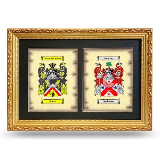 Double Coat of Arms Framed - Gold