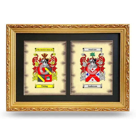 Double Coat of Arms Framed - Gold