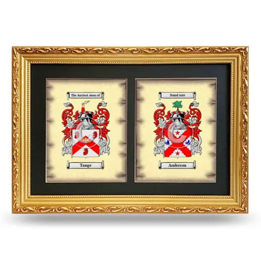 Double Coat of Arms Framed - Gold