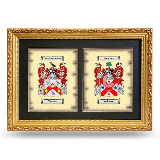 Double Coat of Arms Framed - Gold
