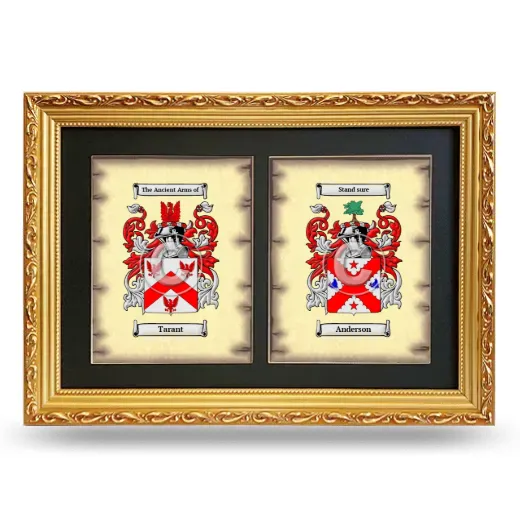 Double Coat of Arms Framed - Gold