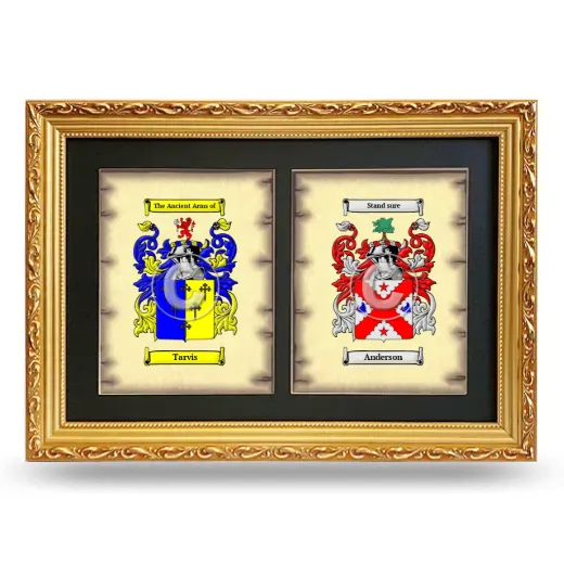 Double Coat of Arms Framed - Gold