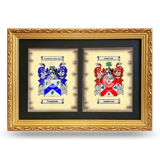 Double Coat of Arms Framed - Gold