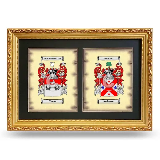 Double Coat of Arms Framed - Gold