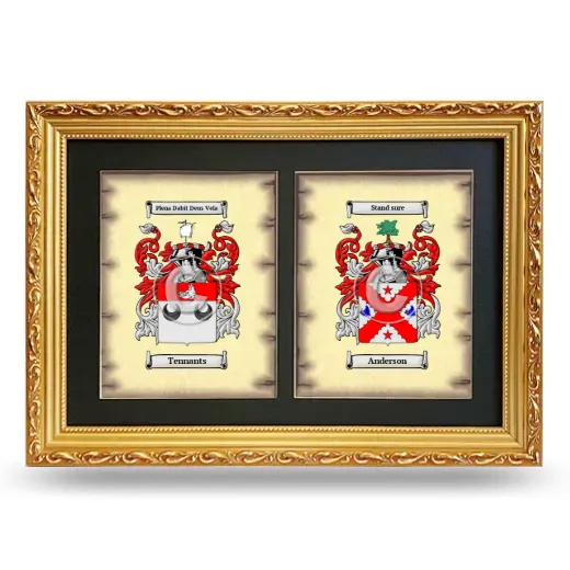 Double Coat of Arms Framed - Gold