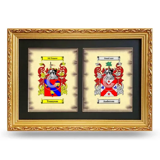 Double Coat of Arms Framed - Gold