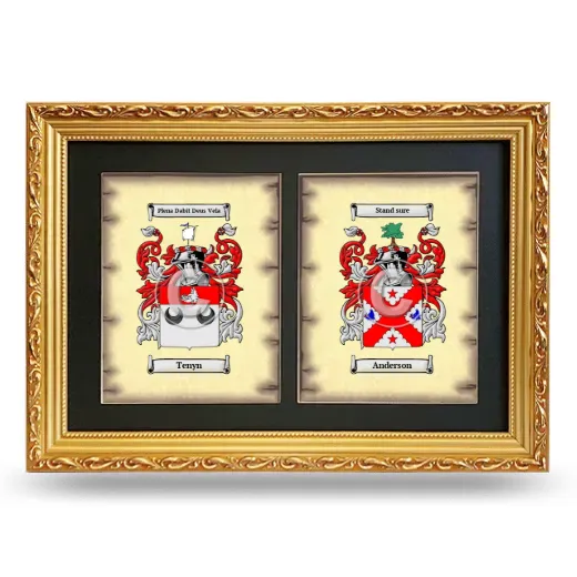 Double Coat of Arms Framed - Gold