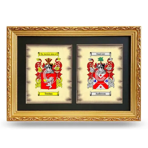 Double Coat of Arms Framed - Gold