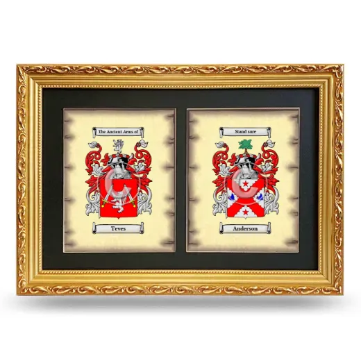 Double Coat of Arms Framed - Gold