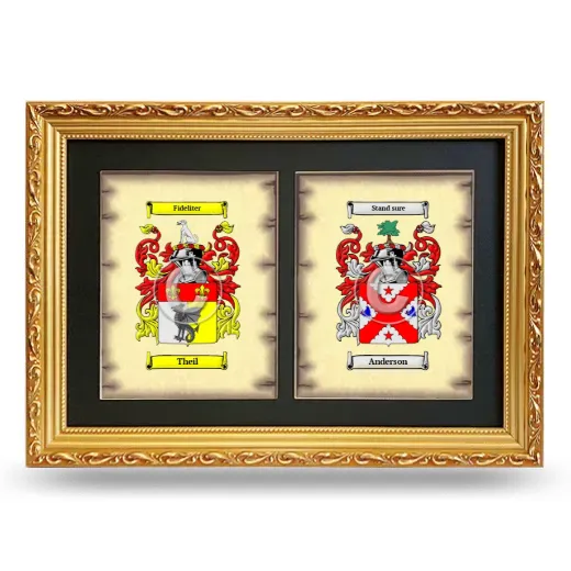 Double Coat of Arms Framed - Gold
