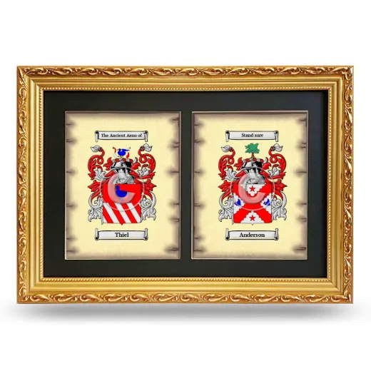 Double Coat of Arms Framed - Gold