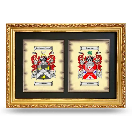 Double Coat of Arms Framed - Gold