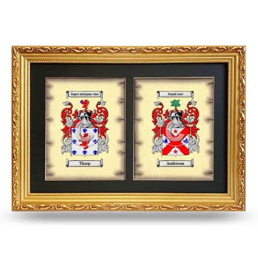Double Coat of Arms Framed - Gold