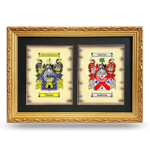 Double Coat of Arms Framed - Gold