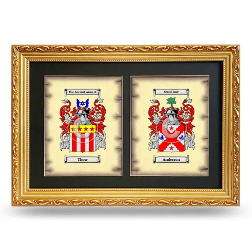 Double Coat of Arms Framed - Gold