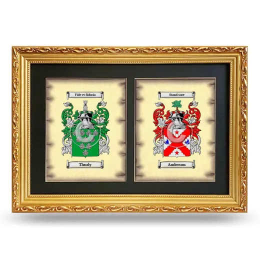 Double Coat of Arms Framed - Gold