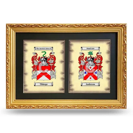 Double Coat of Arms Framed - Gold