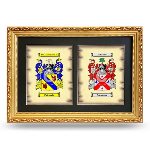 Double Coat of Arms Framed - Gold