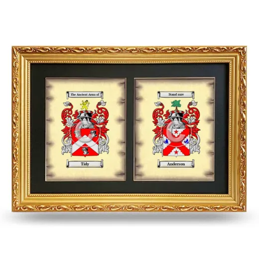 Double Coat of Arms Framed - Gold