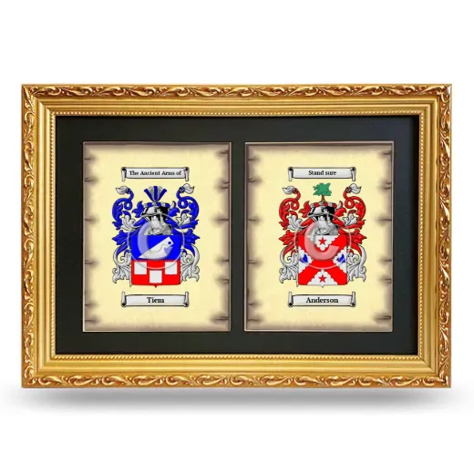 Double Coat of Arms Framed - Gold