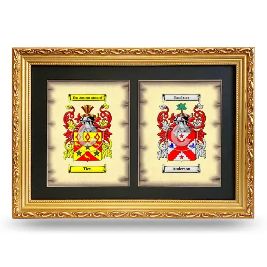 Double Coat of Arms Framed - Gold