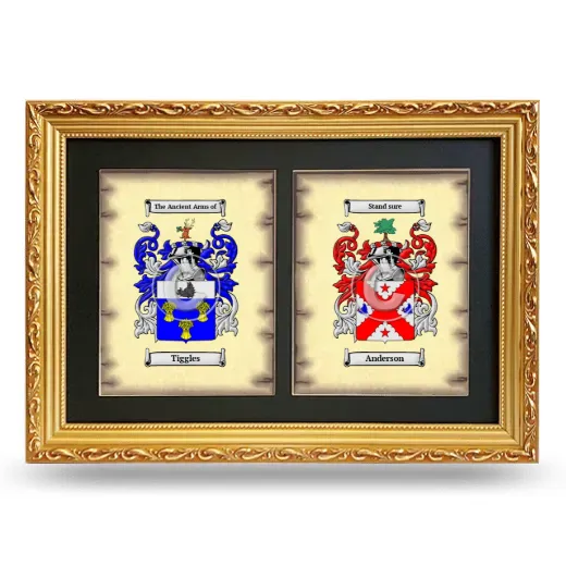 Double Coat of Arms Framed - Gold