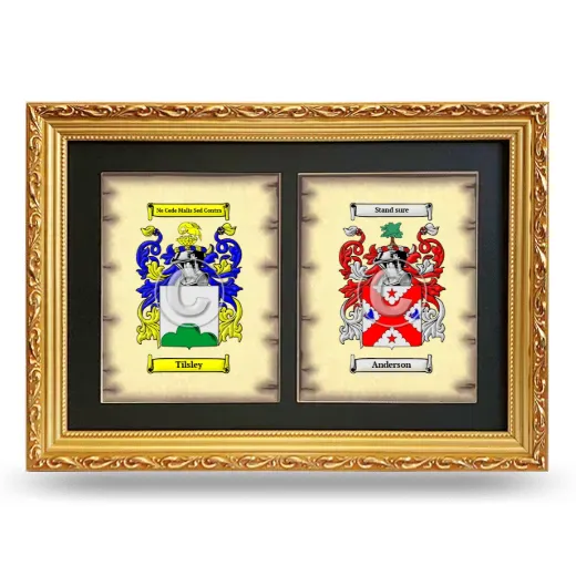 Double Coat of Arms Framed - Gold