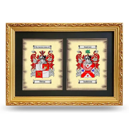Double Coat of Arms Framed - Gold