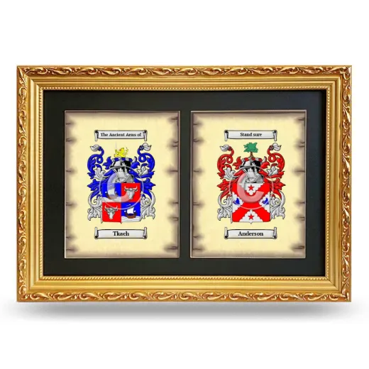Double Coat of Arms Framed - Gold