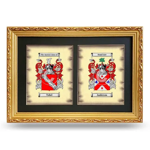Double Coat of Arms Framed - Gold