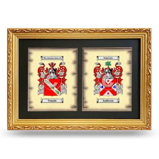 Double Coat of Arms Framed - Gold