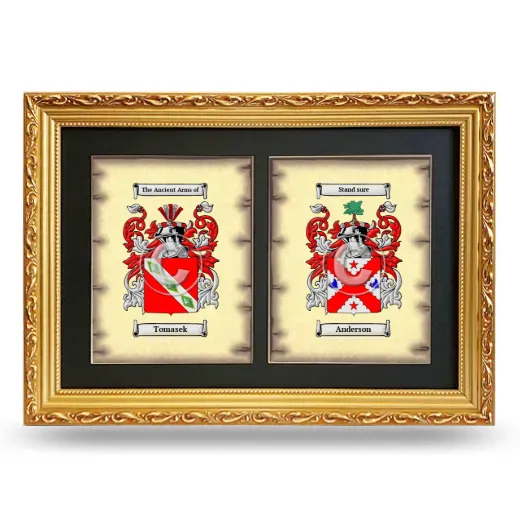 Double Coat of Arms Framed - Gold